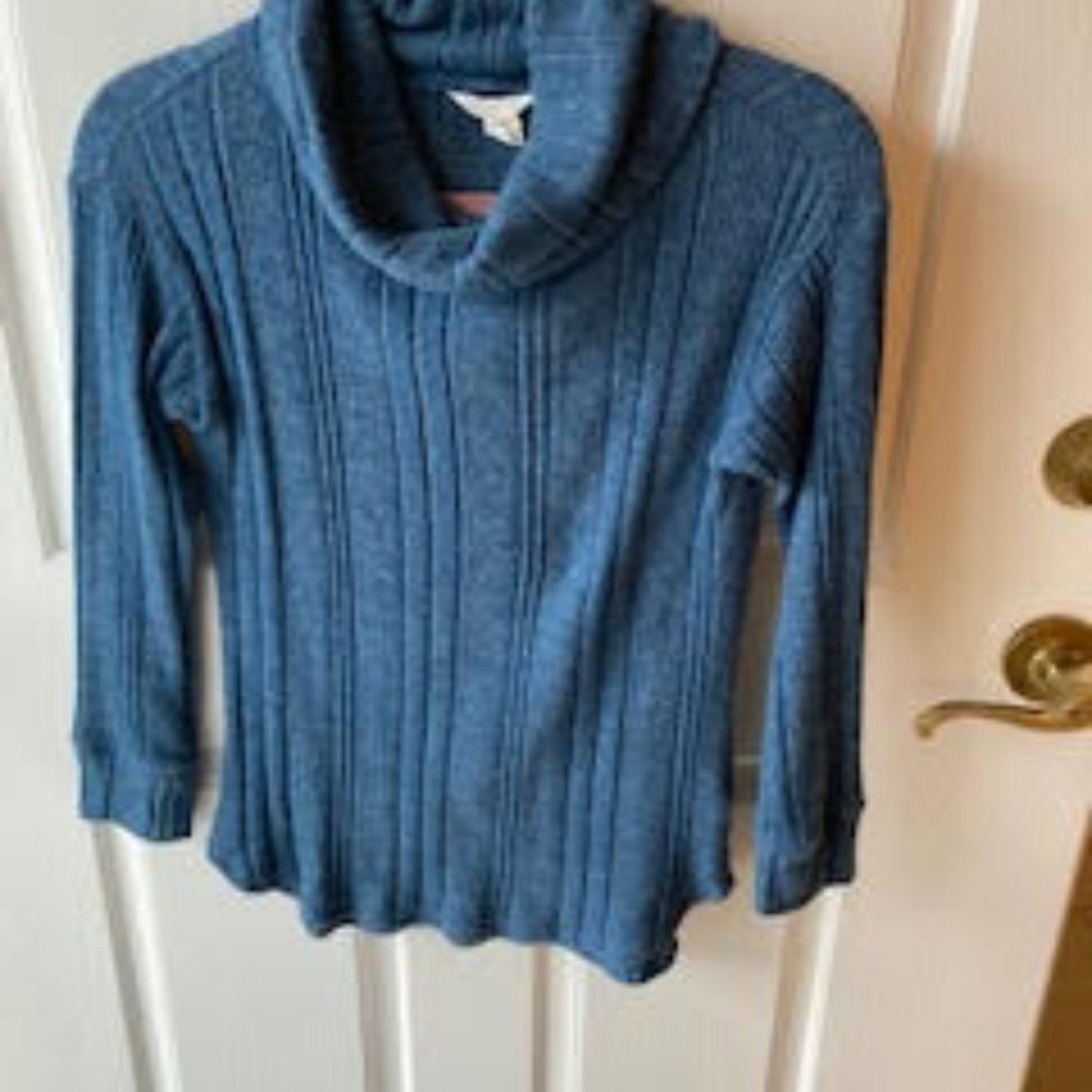 Caslon Turtle Neck Sweater XXS Petite
